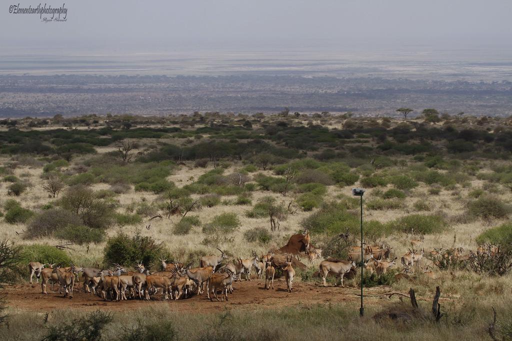 Elerai Camp Hotel Amboseli Exterior foto