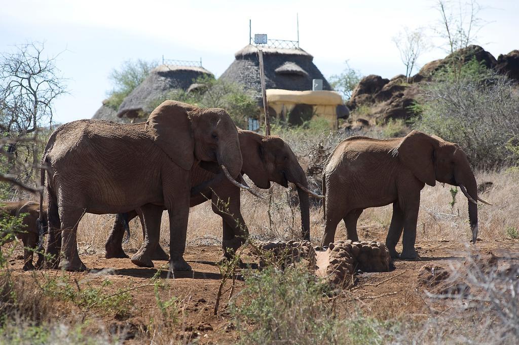 Elerai Camp Hotel Amboseli Quarto foto